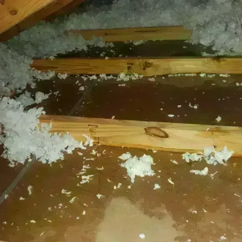 Attic Water Damage in Terrebonne, OR