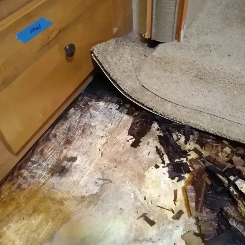 Wood Floor Water Damage in Terrebonne, OR